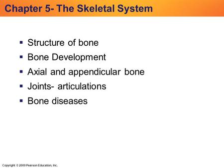 Copyright © 2009 Pearson Education, Inc. Chapter 5- The Skeletal System  Structure of bone  Bone Development  Axial and appendicular bone  Joints-