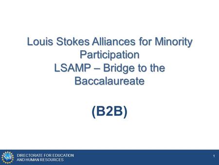 DIRECTORATE FOR EDUCATION AND HUMAN RESOURCES 1 Louis Stokes Alliances for Minority Participation LSAMP – Bridge to the Baccalaureate (B2B)