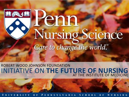 Overview of the RWJF Initiative on the Future of Nursing, at the IOM