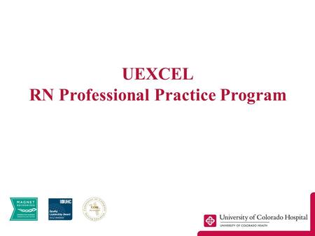 UEXCEL RN Professional Practice Program. UCH Nursing Profile Clinical RNs = 1,400 Certified clinical nurses = 44% BSN or higher degree clinical nurses.