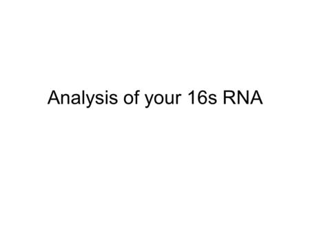 Analysis of your 16s RNA. DNA sequencing Most current sequencing projects use the chain termination method –Also known as Sanger sequencing, after its.