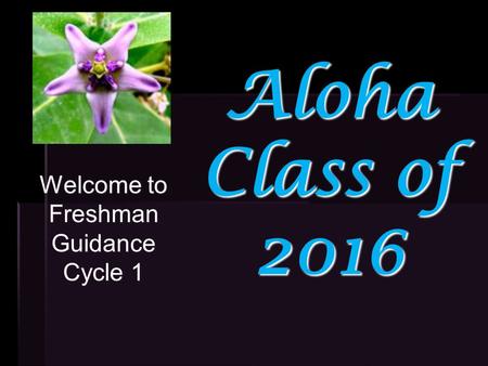Aloha Class of 2016 Welcome to Freshman Guidance Cycle 1.