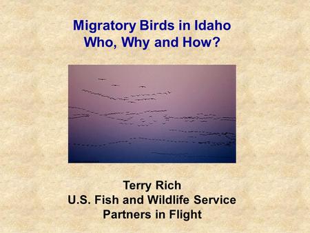Migratory Birds in Idaho Who, Why and How? Terry Rich U.S. Fish and Wildlife Service Partners in Flight.