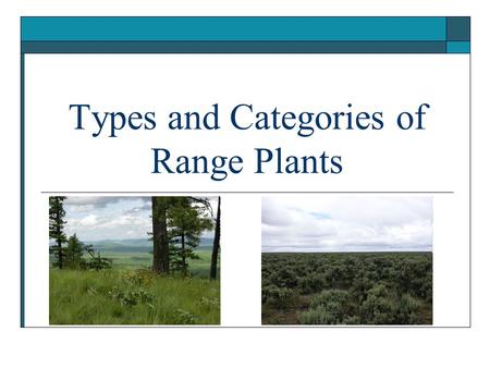 Types and Categories of Range Plants. Objectives 1. Categorize plants according to: growth form, life span, season of growth, origin, and forage value.
