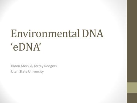 Environmental DNA ‘eDNA’