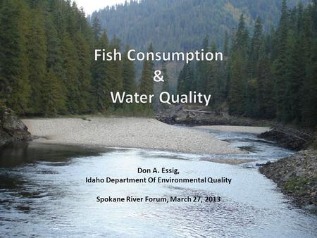 Don A. Essig, Idaho Department Of Environmental Quality Spokane River Forum, March 27, 2013.