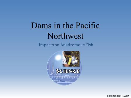 Dams in the Pacific Northwest Impacts on Anadromous Fish.