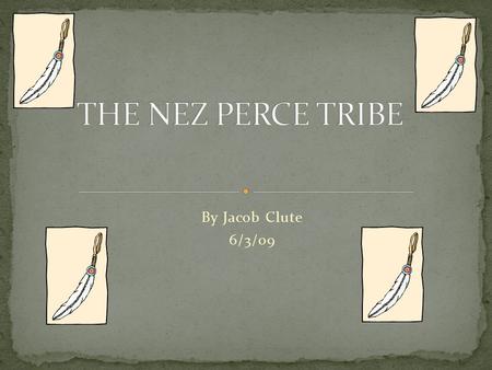 By Jacob Clute 6/3/09. THE NEZ PERCE lived in IDAHO with family and friends and chief Joseph They used to live in the north west now they live in western.