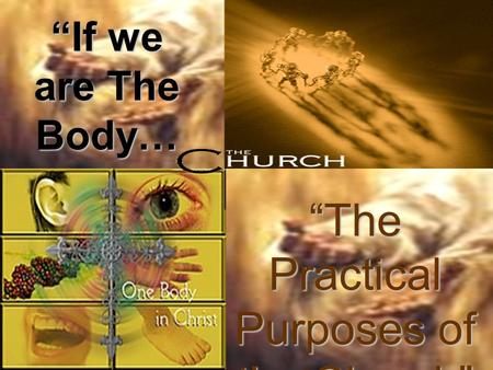 “If we are The Body… “The Practical Purposes of the Church”