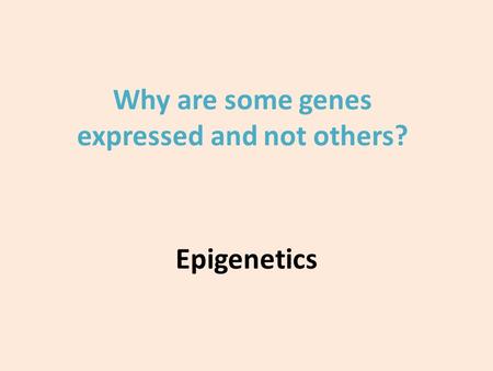 Epigenetics Why are some genes expressed and not others?