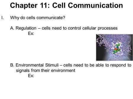 Chapter 11: Cell Communication