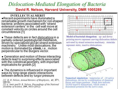 Dislocation-Mediated Elongation of Bacteria David R. Nelson, Harvard University, DMR 1005289 INTELLECTUAL MERIT ●Recent experiments have illuminated a.