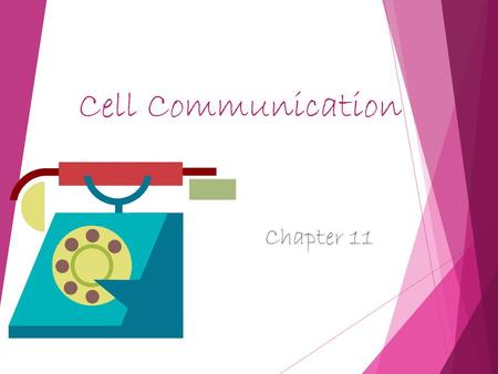 Cell Communication Chapter 11. Cell communication.
