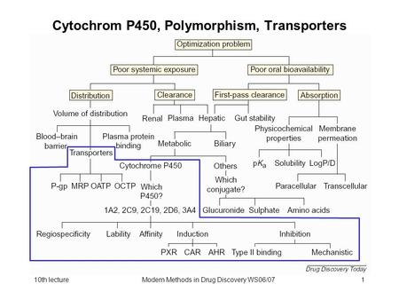 10th lectureModern Methods in Drug Discovery WS06/071 Cytochrom P450, Polymorphism, Transporters.