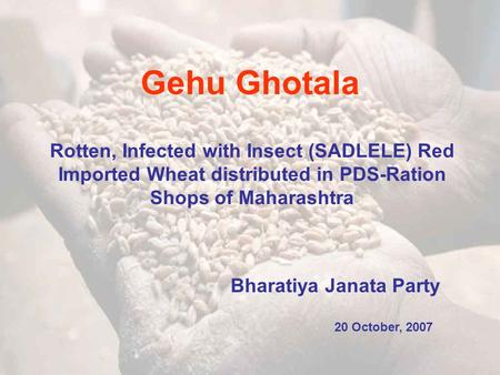 Gehu Ghotala Bharatiya Janata Party Rotten, Infected with Insect (SADLELE) Red Imported Wheat distributed in PDS-Ration Shops of Maharashtra 20 October,