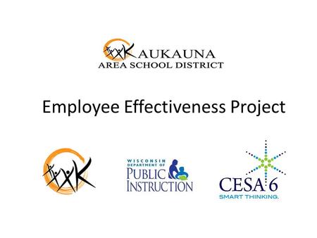 Employee Effectiveness Project. What is the Effectiveness Project? A 360° professional focused, research based process designed to deliver the highest.