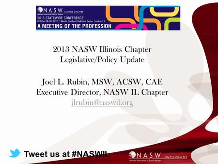 Today’s Presentation 2013 NASW Illinois Chapter Legislative/Policy Update Joel L. Rubin, MSW, ACSW, CAE Executive Director, NASW IL Chapter