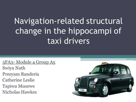 Navigation-related structural change in the hippocampi of taxi drivers