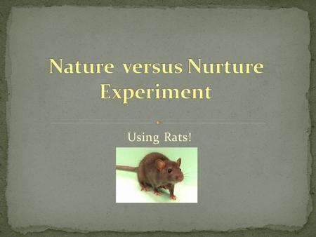 Using Rats!. “If an environment (nurture) is significant, then it can overcome heredity (nature) in regards to intelligence.”