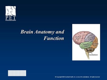 © Copyright 2004 Cardinal Health, Inc. or one of its subsidiaries. All rights reserved. Brain Anatomy and Function.