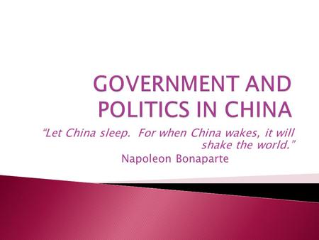 GOVERNMENT AND POLITICS IN CHINA