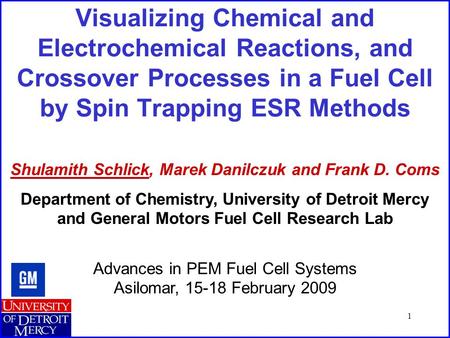1 Visualizing Chemical and Electrochemical Reactions, and Crossover Processes in a Fuel Cell by Spin Trapping ESR Methods Shulamith Schlick, Marek Danilczuk.