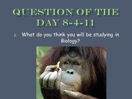 1. What do you think you will be studying in Biology?