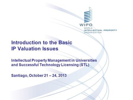 Introduction to the Basic IP Valuation Issues