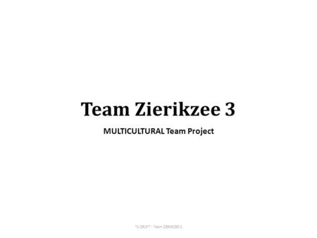 Team Zierikzee 3 MULTICULTURAL Team Project TU DELFT - Team ZIERIKZEE 3.