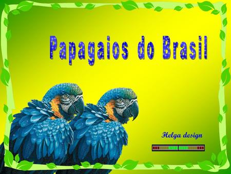 Helga design Music : Brazil National Anthem Song by brazilin birds-Photos from web.