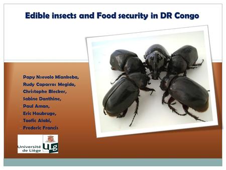 Edible insects and Food security in DR Congo