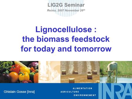 A L I M E N T A T I O N A G R I C U L T U R E E N V I R O N N E M E N T Lignocellulose : the biomass feedstock for today and tomorrow Ghislain Gosse [Inra]