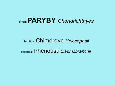 Třída: PARYBY Chondrichthyes Podtřída: Chimérovci Holocephali Podtřída: Příčnoústí Elasmobranchii.
