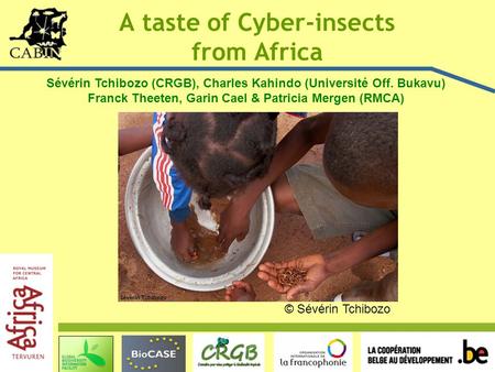 A taste of Cyber-insects from Africa Sévérin Tchibozo Sévérin Tchibozo (CRGB), Charles Kahindo (Université Off. Bukavu) Franck Theeten, Garin Cael & Patricia.