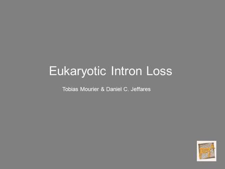 Eukaryotic Intron Loss Tobias Mourier & Daniel C. Jeffares.