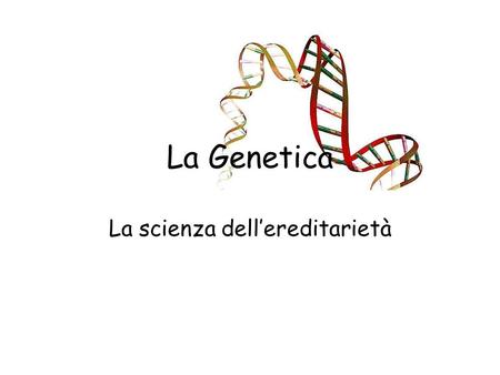 La Genetica La scienza dell’ereditarietà. La Genetica In che modo il patrimonio genetico è trasmesso alle nuove cellule che devono sostituire quelle che.