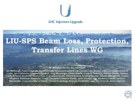 LIU-SPS Beam Loss, Protection, Transfer Lines WG