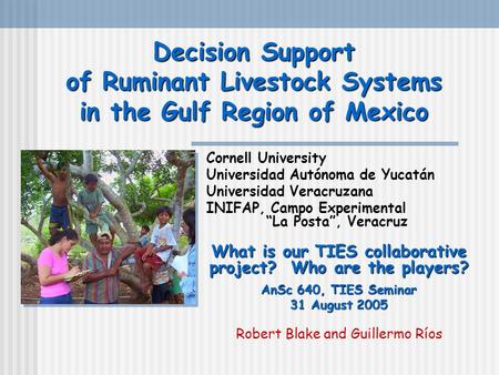 Decision Support of Ruminant Livestock Systems in the Gulf Region of Mexico Cornell University Universidad Autónoma de Yucatán Universidad Veracruzana.