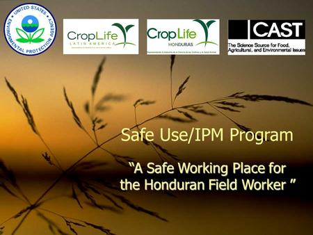 Safe Use/IPM Program “A Safe Working Place for the Honduran Field Worker ”