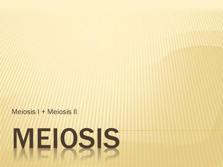 Meiosis I + Meiosis II MEIOSIS.