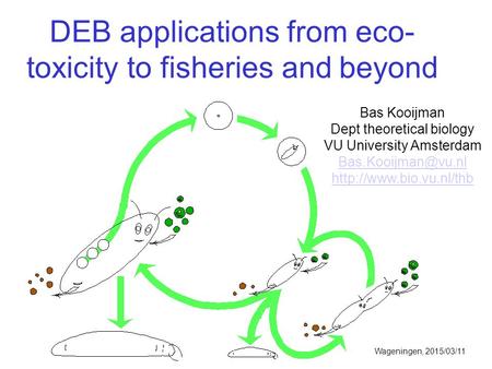 DEB applications from eco- toxicity to fisheries and beyond Bas Kooijman Dept theoretical biology VU University Amsterdam