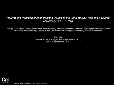 Neutrophils Transport Antigen from the Dermis to the Bone Marrow, Initiating a Source of Memory CD8+ T Cells Darragh Duffy, Hélène Perrin, Valérie Abadie,