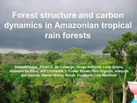 Forest structure and carbon dynamics in Amazonian tropical rain forests Simone Vieira, Plinio B. De Camargo, Diogo Selhorst, Lucy Hutyra, Roseane da Silva,
