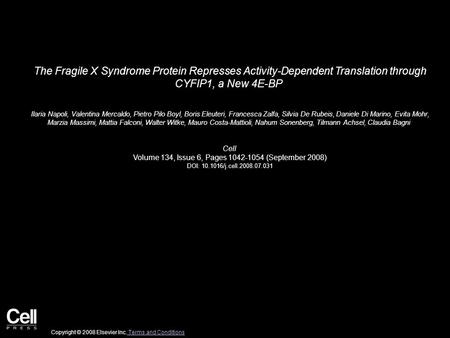 The Fragile X Syndrome Protein Represses Activity-Dependent Translation through CYFIP1, a New 4E-BP Ilaria Napoli, Valentina Mercaldo, Pietro Pilo Boyl,