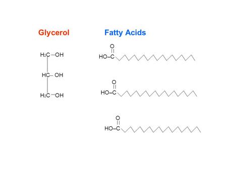 H 2 C OH HC OH H 2 C OH O HO–C O HO–C O HO–C GlycerolFatty Acids.