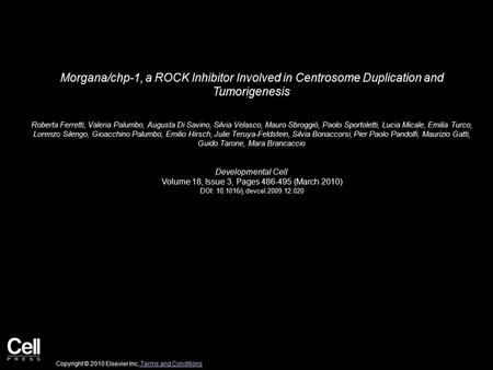 Morgana/chp-1, a ROCK Inhibitor Involved in Centrosome Duplication and Tumorigenesis Roberta Ferretti, Valeria Palumbo, Augusta Di Savino, Silvia Velasco,