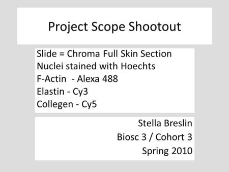 Project Scope Shootout Stella Breslin Biosc 3 / Cohort 3 Spring 2010 Slide = Chroma Full Skin Section Nuclei stained with Hoechts F-Actin - Alexa 488 Elastin.