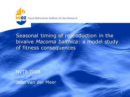 Royal Netherlands Institute for Sea Research 1 Seasonal timing of reproduction in the bivalve Macoma balthica: a model study of fitness consequences NVTB.