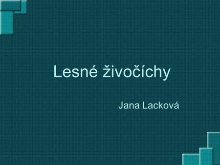 Lesné živočíchy Jana Lacková.