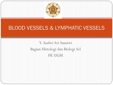 BLOOD VESSELS & LYMPHATIC VESSELS